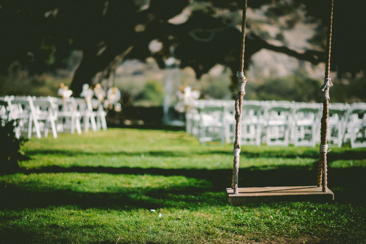 Single Image From Gallery