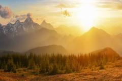 Landscape-03