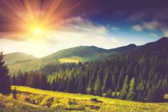 Landscape-10
