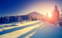 Landscape-07