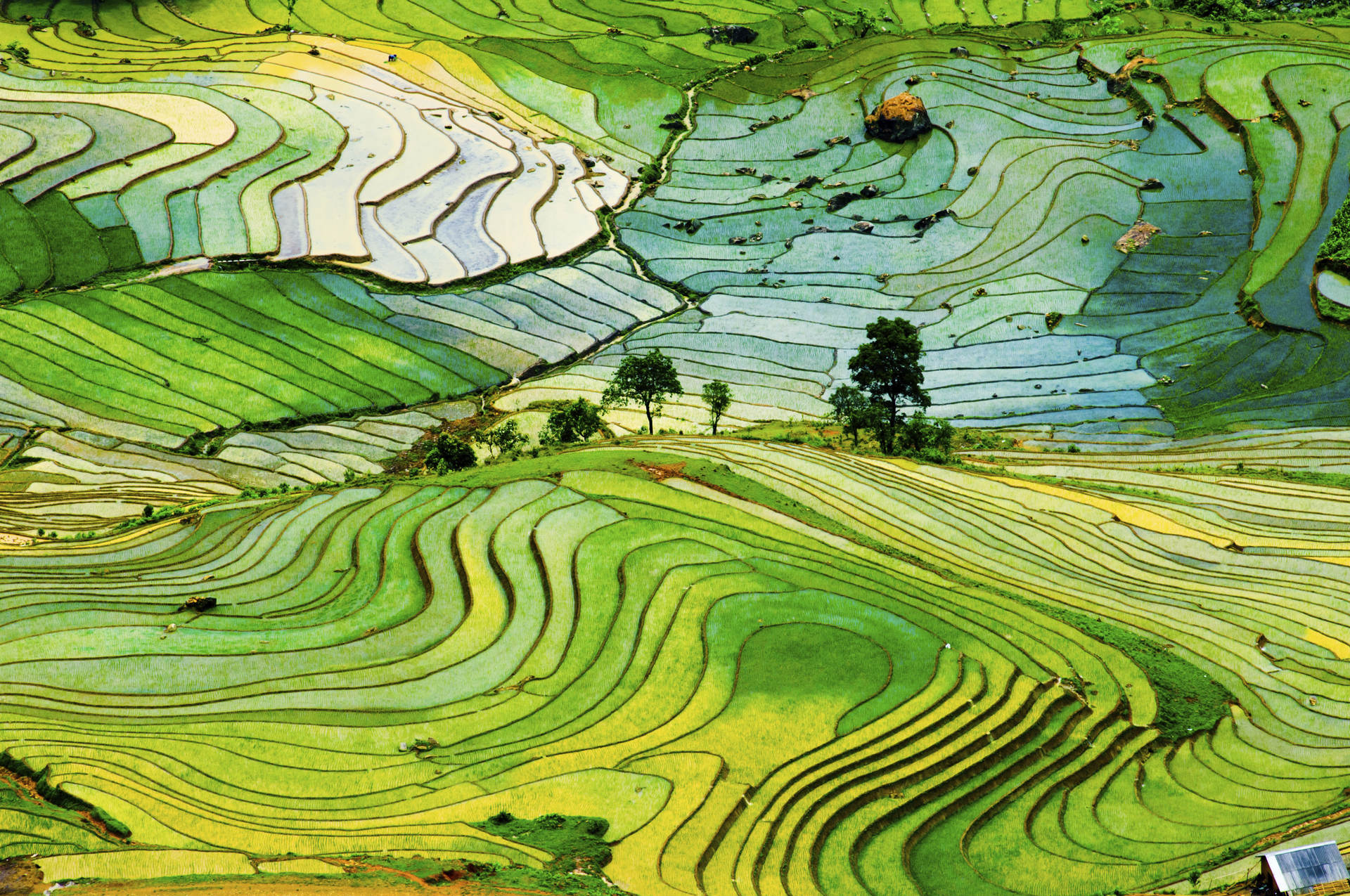 Landscapes_41