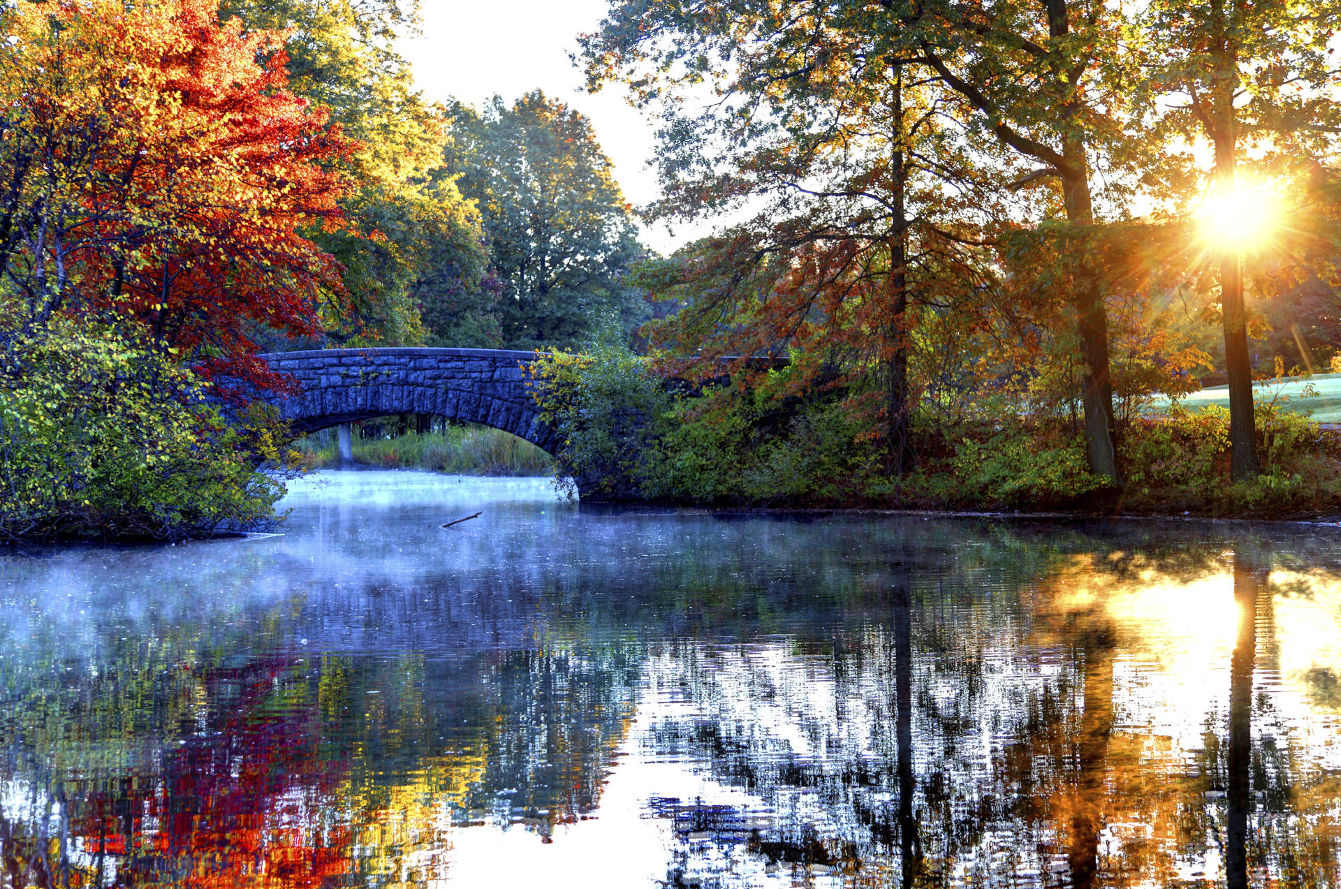 Landscapes_47