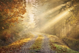 Landscapes_028