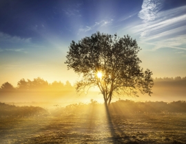 Landscapes_029