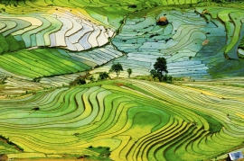 Landscapes_41