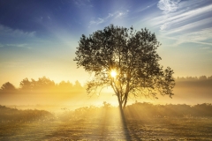 Landscapes_029