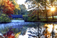 Landscapes_47