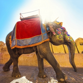 Travel, Indien, India