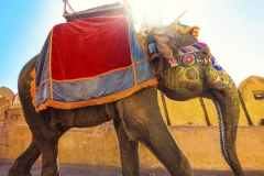 Travel, Indien, India