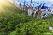 Cityscapes_43