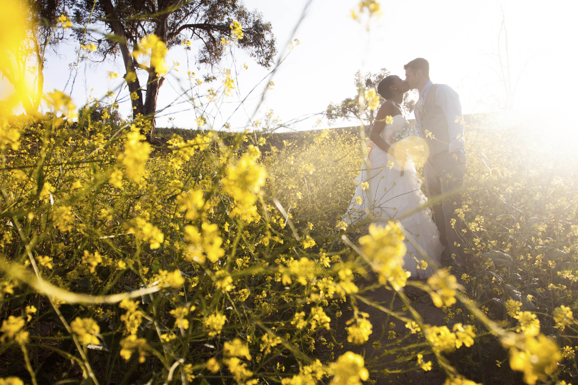 Wedding_63